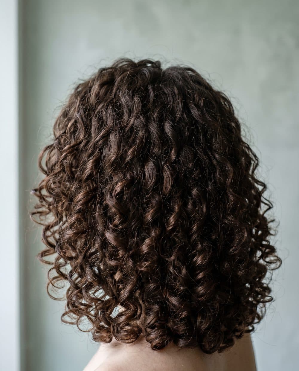 A dry cut curly head seen from behind, each curl holding its own defined spiral, the overall shape rounded and even
